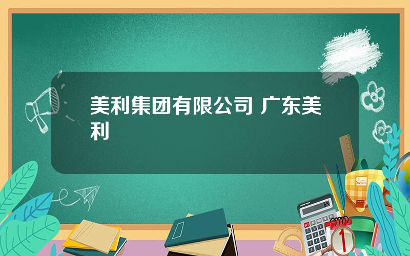 美利集团有限公司 广东美利